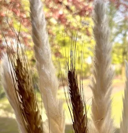 Nordlicht 아파트 Süderbrarup